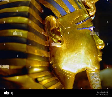 Tutankhamun black decoration profile egypt figure hi-res stock ...
