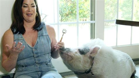 Watch Your First Look at Wife Swap: The Real Housewives Edition | Wife ...