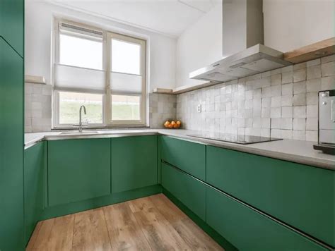 Behr Dark Jade MQ6-43: 23 real home pictures