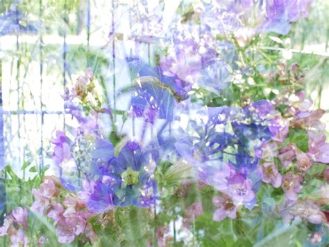 Image result for Doppelbelichtung Tutorial