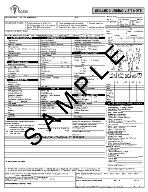 Skilled Nursing Visit Note - Blank Fillable Template | Fill Out, Print ...