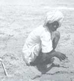 Farming by extension