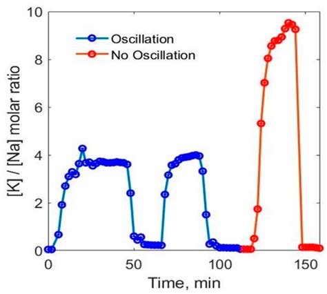 Design, Modelling, and Experimental Validation of a Scalable Continuous ...
