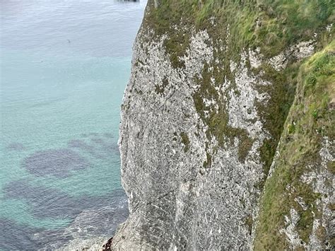 Fantastic views but extraordinarily windy! - Reviews, Photos ...