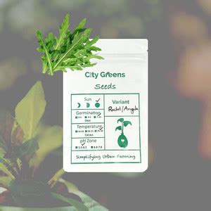 CityGreens Rocket, Arugula Seed Price in India - Buy CityGreens Rocket ...