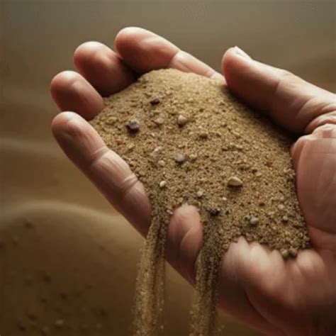 GT Lab Relative Density of Sand 的图像结果