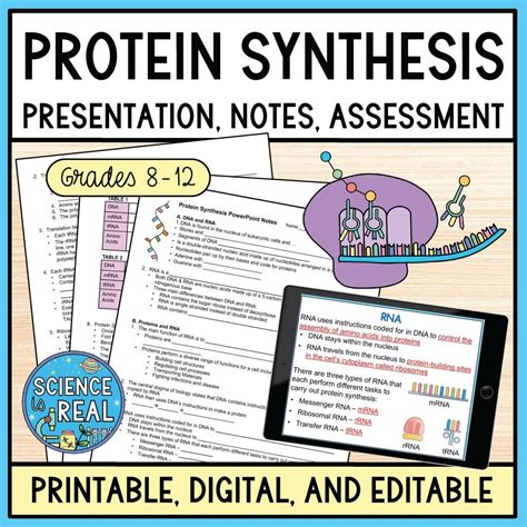 Protein Synthesis Amoeba Sisters Video Handout - Science is Real Education