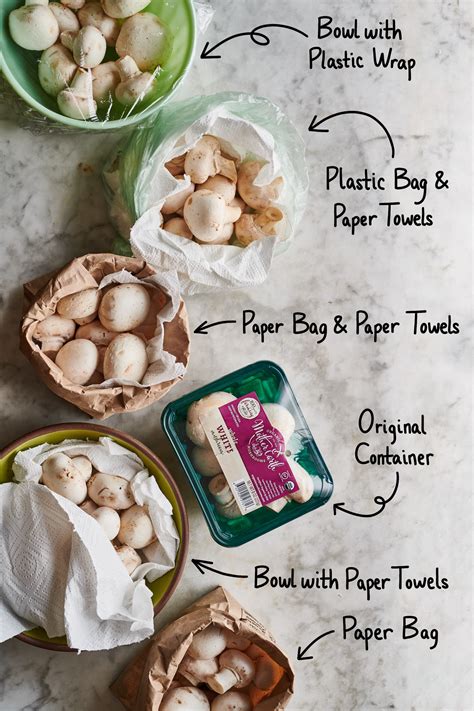 How To Keep Mushrooms In Fridge - XPUFKQ