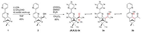 Tautomerism and Self-Association in the Solution of New Pinene ...