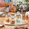 Buy Pasabahce Basic Glass Food Container Jar With Dome (510 ml ...