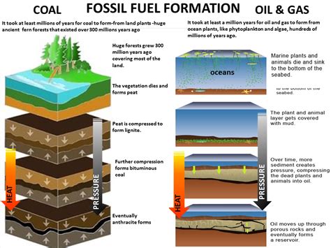 Image result for How Are Fossil Fuels Formed Step by Step