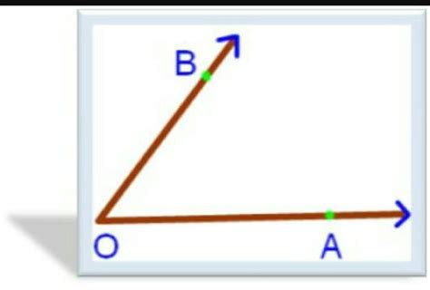 Q.2 Try making a right angle using your arm. Which part of the arm acts ...