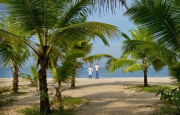Experience 15 Days 14 Nights Cochin, Munnar, Periyar, Kumarakom and ...