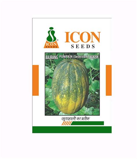 ICON SEED Rech. Big Pumpkin Seed Bajrang (10gm) : Amazon.in: Garden ...