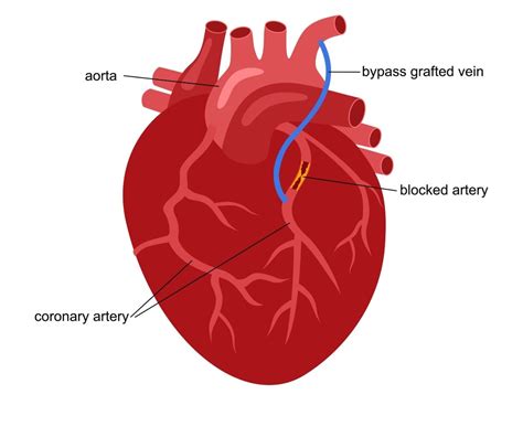 Dr.Ranjith Kumar Anandasu