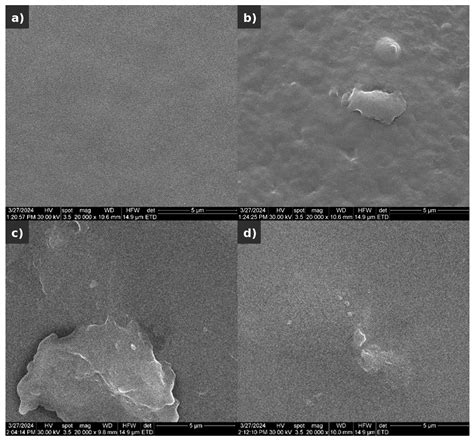 Conductive Chitosan–Graphene Oxide Scaffold with Applications in ...