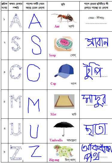 Model Activity Task Class 1 Part 7 All Solution | মডেল অ্যাক্টিভিটি ...