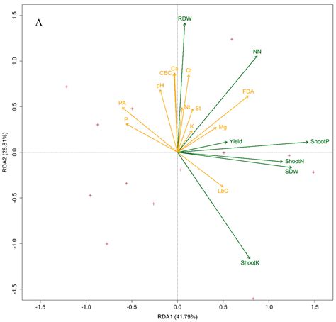 Effect of Biochar and Irrigation on Soybean-Rhizobium Symbiotic ...