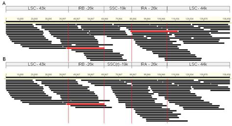 A Circular Chloroplast Genome of Fagus sylvatica Reveals High ...