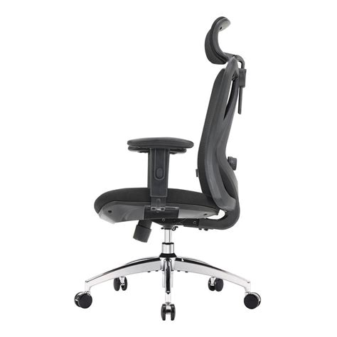 Noriko Ergonomic Chair | eTerior Bangalore