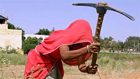 Telangana: Tribal women injured in scuffle with forest staff over ...
