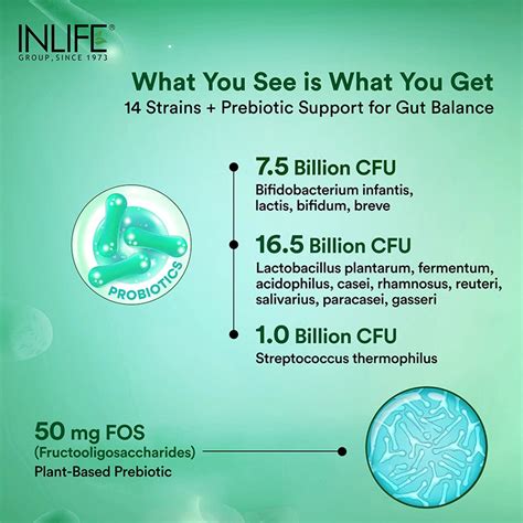 Inlife Prebiotic & Probiotics Forte 25 Billion CFU with 14 Strains ...