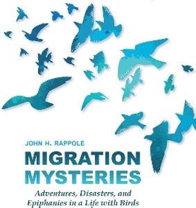 Migration Mysteries: Buy Migration Mysteries by Rappole John H. at Low ...
