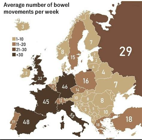 Average # Of Bowel Movements Per Day