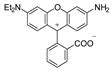 Stability of Rhodamine Lactone Cycle in Solutions: Chain–Ring ...