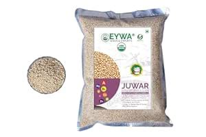Organic White Sorghum (10 Kg)/white Cholam/jovar/jonna/jola For Eating ...