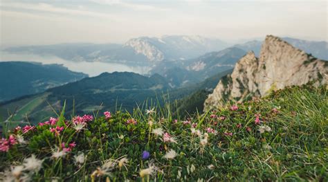 A Schafbergbahn fogaskerekűvel a Wolfgangsee tó régiójában ...