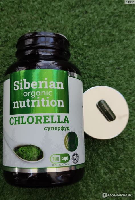 БАД Siberian Organic Nutrition Хлорелла, 100 капсул - «Что такое ...