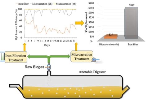 Comparing Hydrogen Sulfide Removal Efficiency in a Field-Scale Digester ...