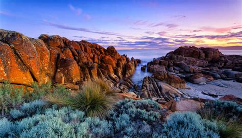 15 Adventurous Things To Do In Tasmania On Your Vacation In 2025