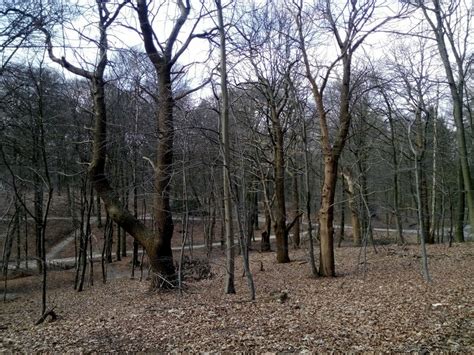 Bas Langereis leest u voor! » 2016 » maart