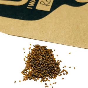 Biosnyg Hybrid Rocket Seeds[500 Seeds] Seed Price in India - Buy ...