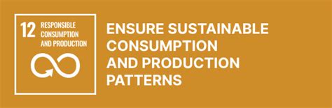 SDG initiatives