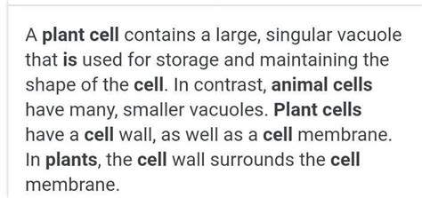 Differentiate between plant and animal cell with siutable figures ...