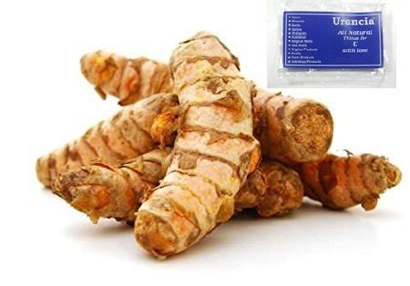 Urancia® 5 Live Termeric Roots (Special Roots for Grow Plants) Rhizomes ...
