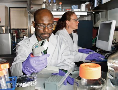 Leading Contract Research Organization in India - Alpha Laboratories ...