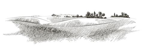 Vector sketch green grass field on small hills meadow alkali lye ...