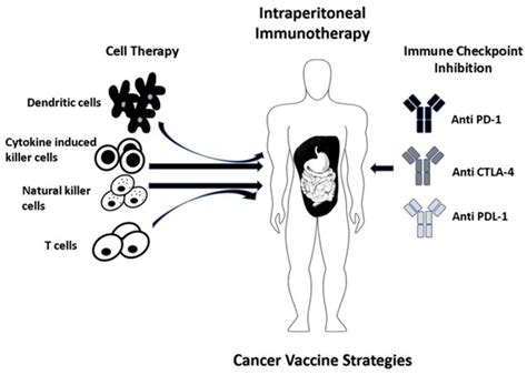 Vaccines | Special Issue : Therapeutic Vaccines and Cancer Immunotherapy