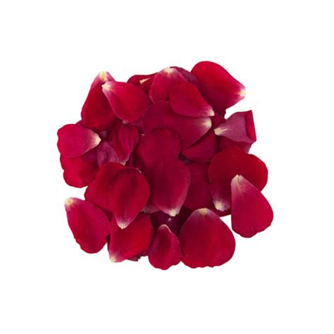 Rose Petals – Spice Nest