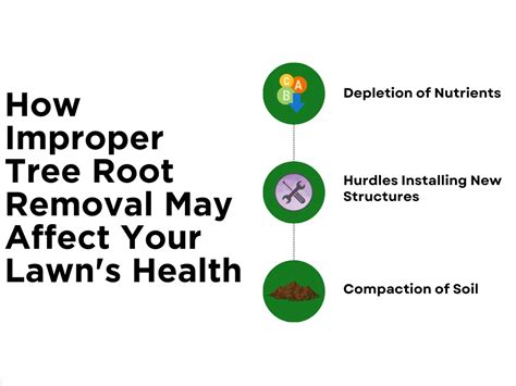 Tree Root Removal Tips 的图像结果