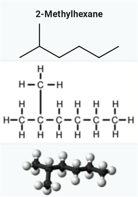write lewis structure of 2-methylheptane - Brainly.in
