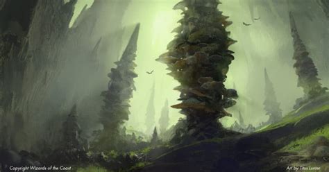 Circle of The Moon (CotM) Druid 5e Guide - Maximum Wild Shape