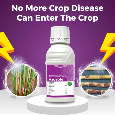 Buy Katyayani Azozole Azoxystrobin + Difenoconazole Fungicide