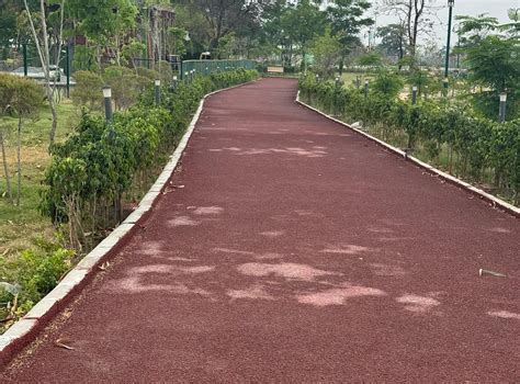 Cycling track ready in Dehradun city park MDDA Vice President ...