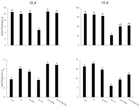 Agronomy | Special Issue : Crop Mineral Nutrition: Old and Emerging ...
