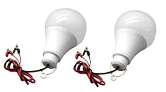 Buy Erh India 2 Pcs 12V DC 12 Watt LED Bulb White Light with Alligator ...